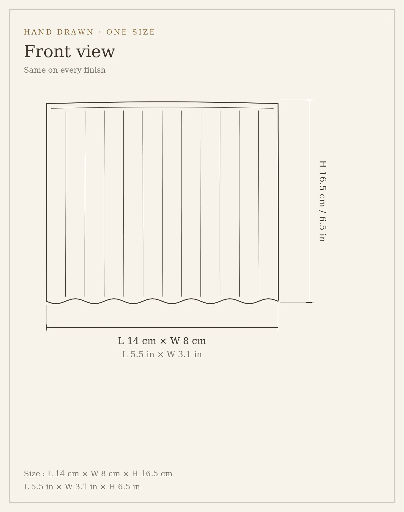 Diagrama oficial: H 16.5 cm / 6.5 in en el lateral, L 14 cm × W 8 cm / L 5.5 in × W 3.1 in debajo