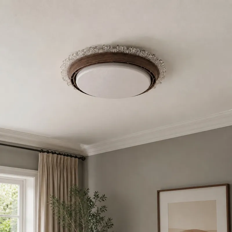 Round LED ceiling light 17
