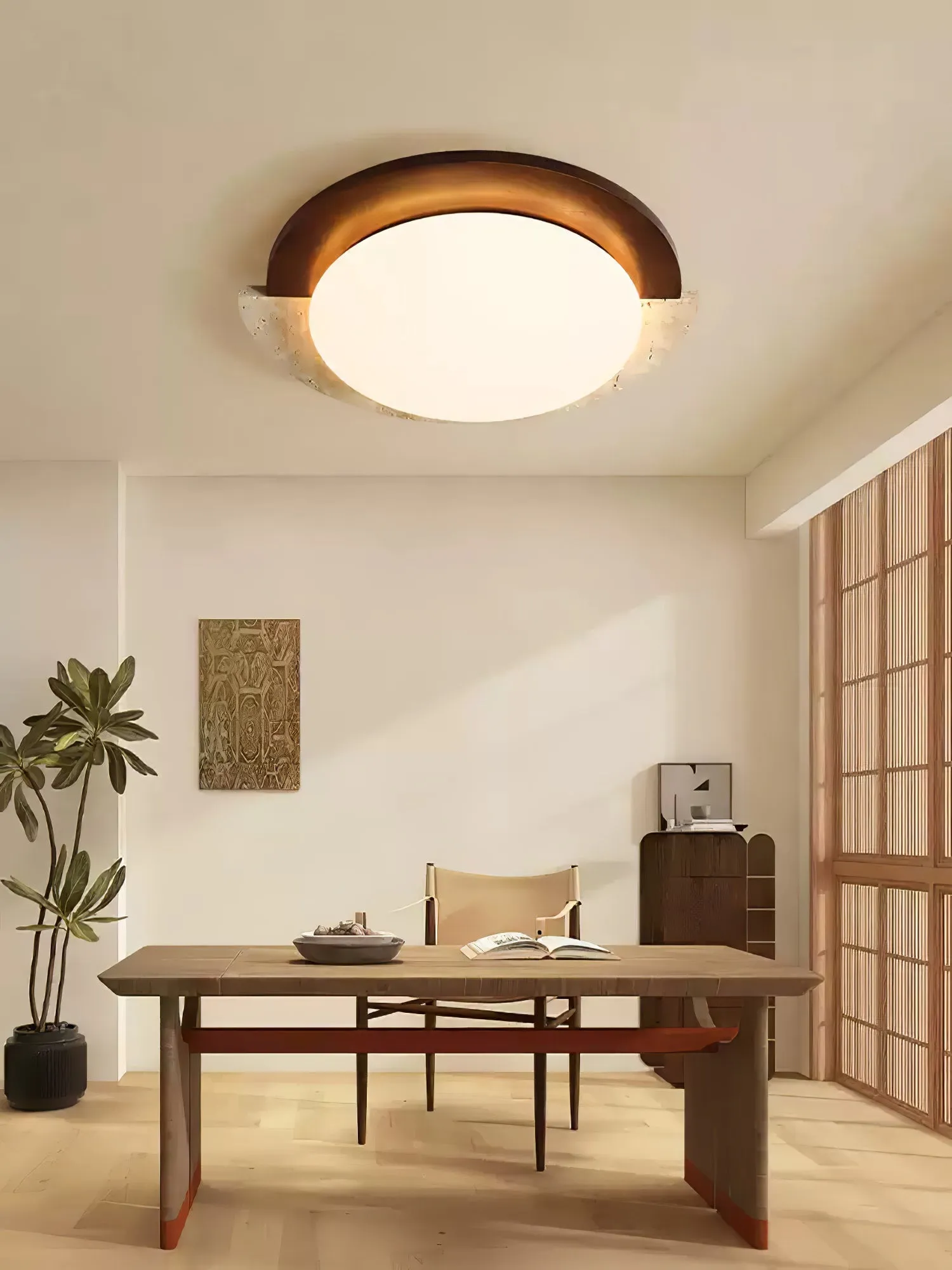 Eclipse Halo Ceiling Lamp - Vakkerlight