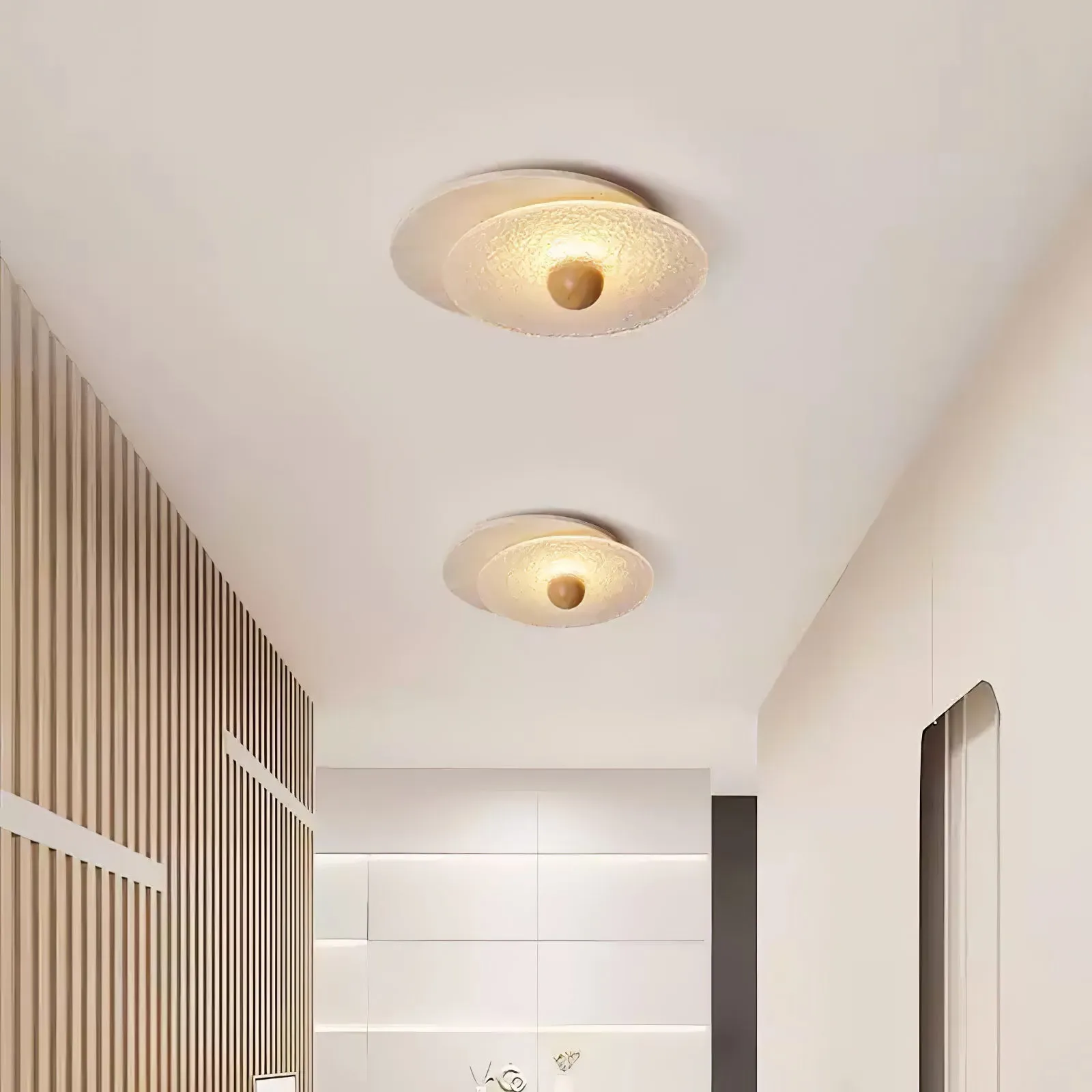 Radiant Disc Ceiling Lamp - Vakkerlight