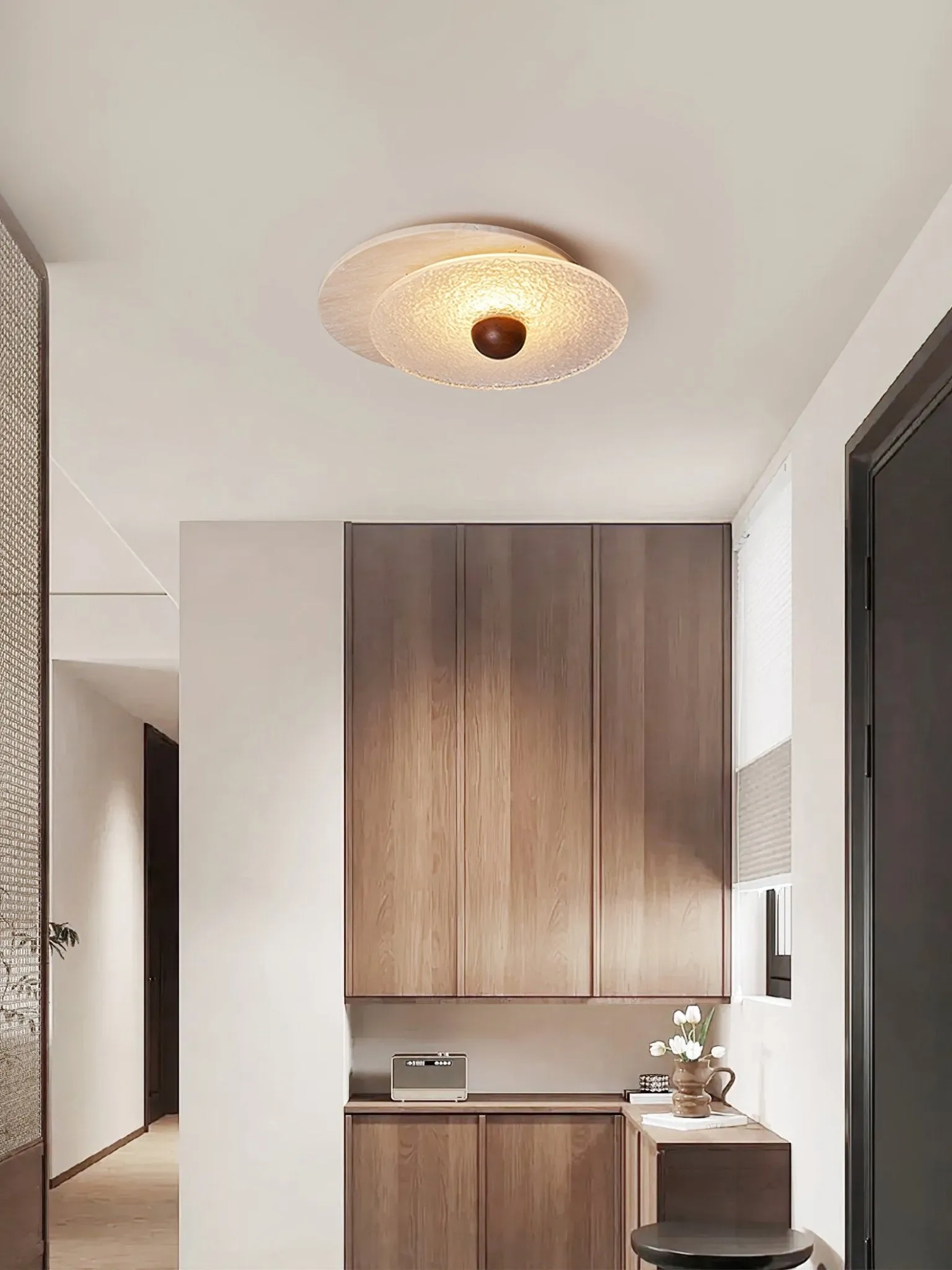 Radiant Disc Ceiling Lamp - Vakkerlight