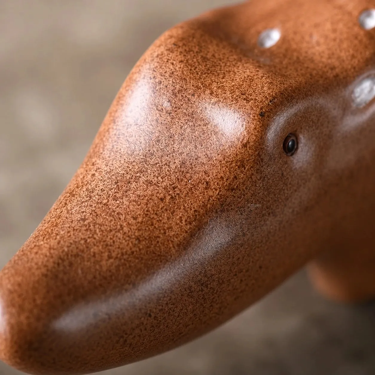Close view of the anteater sculpture face and surface texture