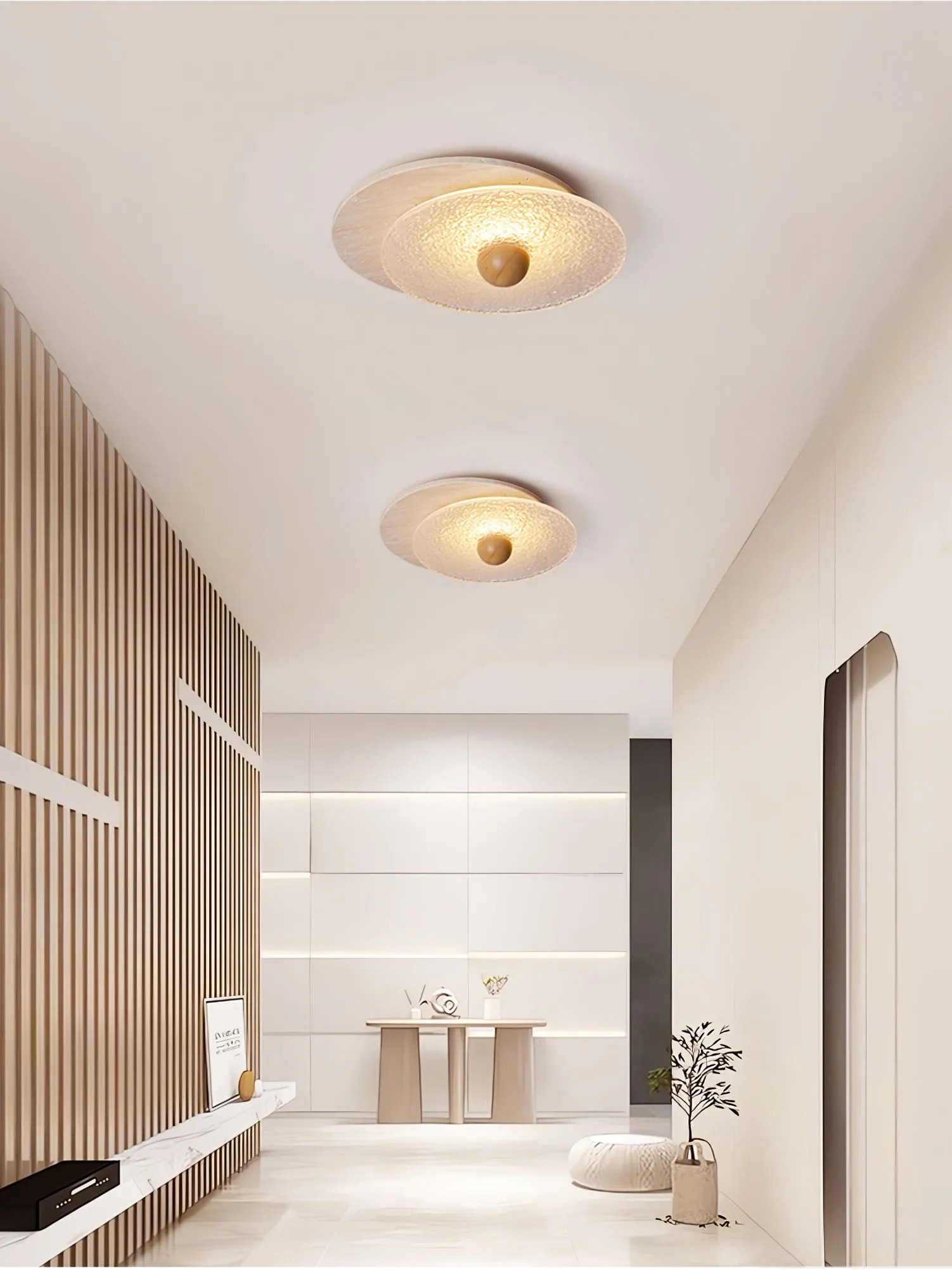 Radiant Disc Ceiling Lamp - Vakkerlight