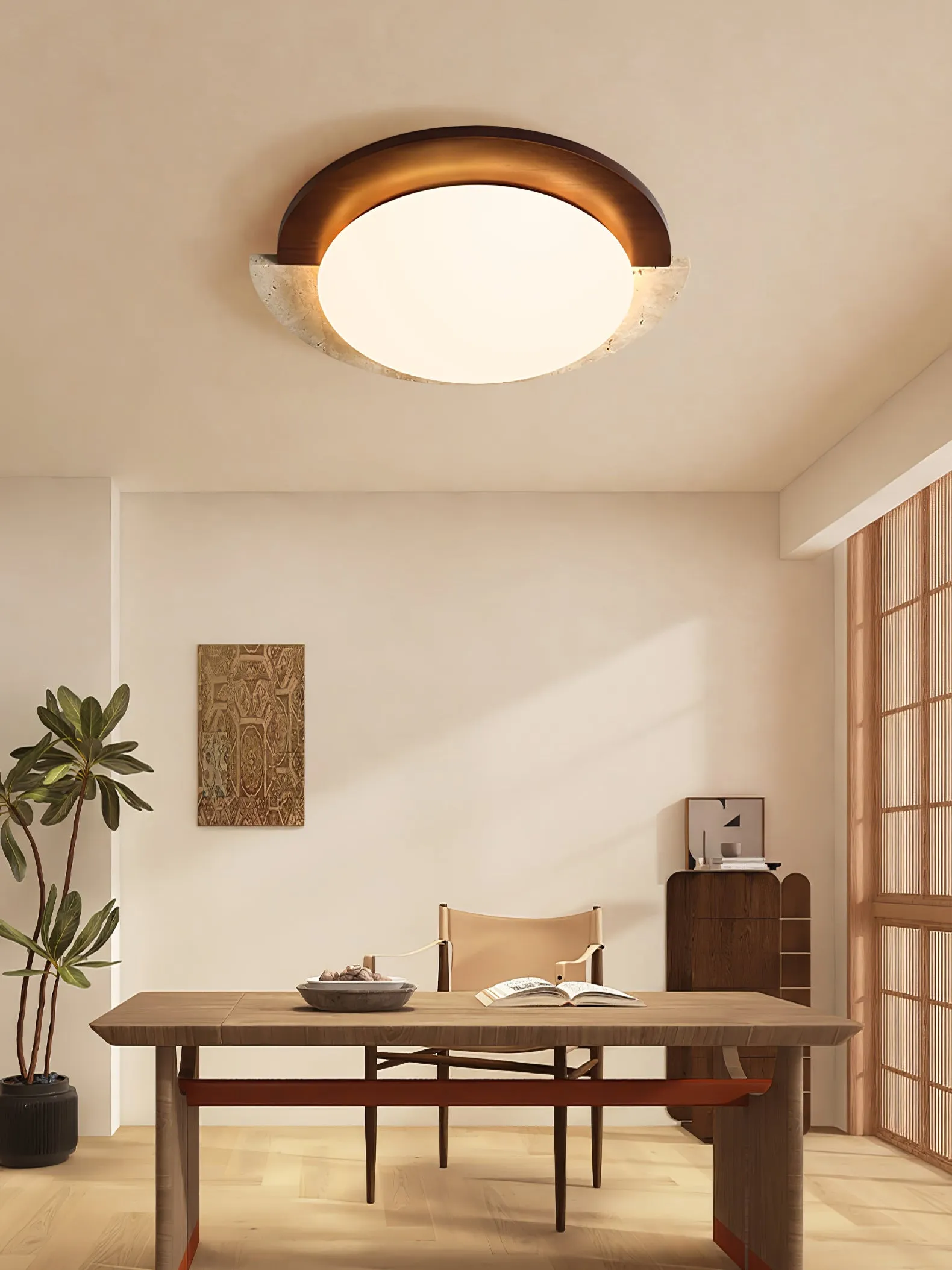 Eclipse Halo Ceiling Lamp - Vakkerlight