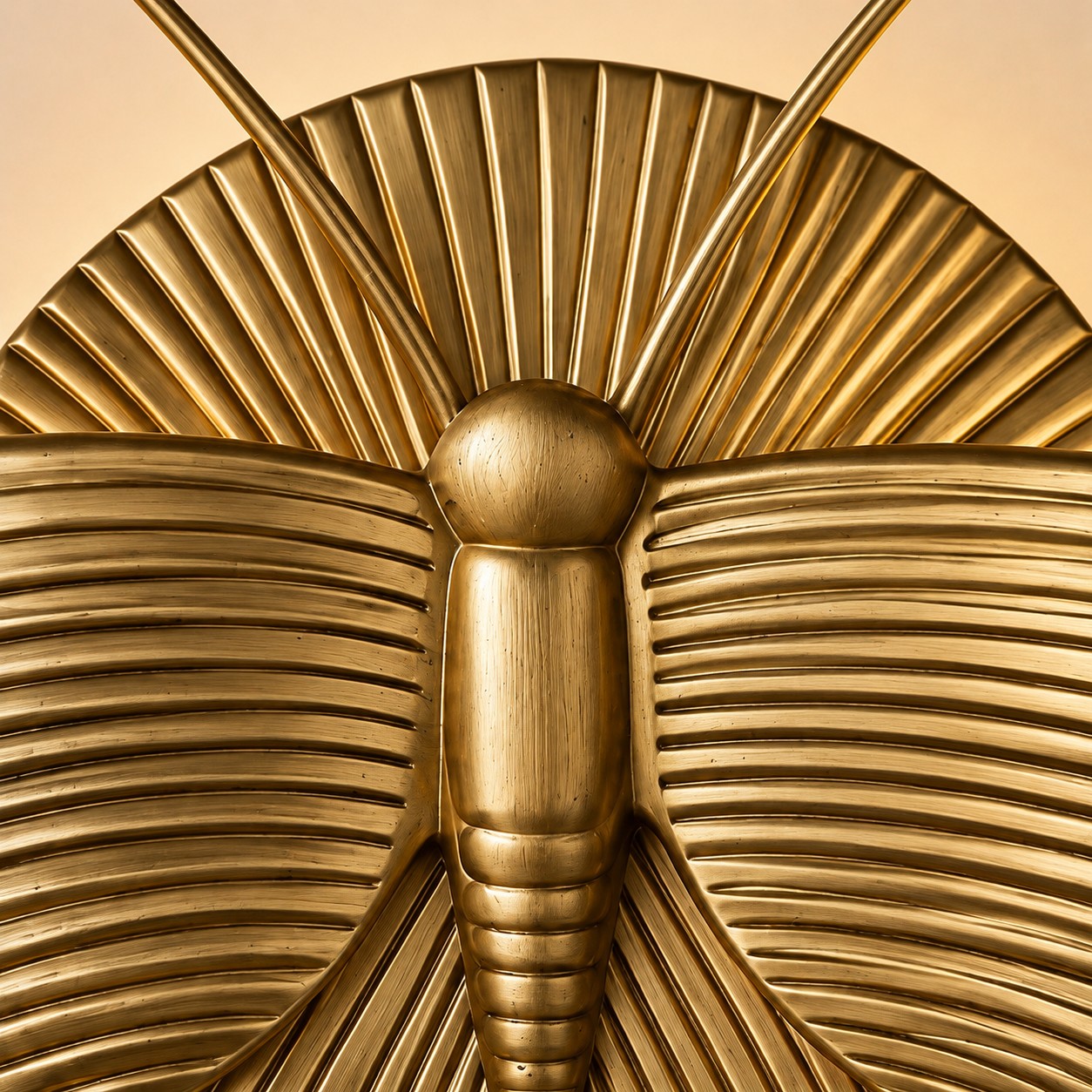 Close view of the moth head, antennae and segmented body